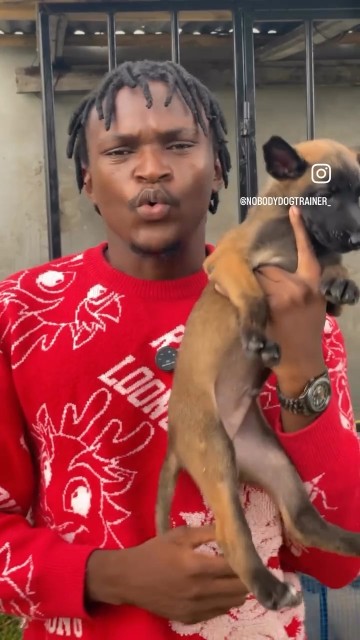 Tujifunze kuhusu Mbwa🐶