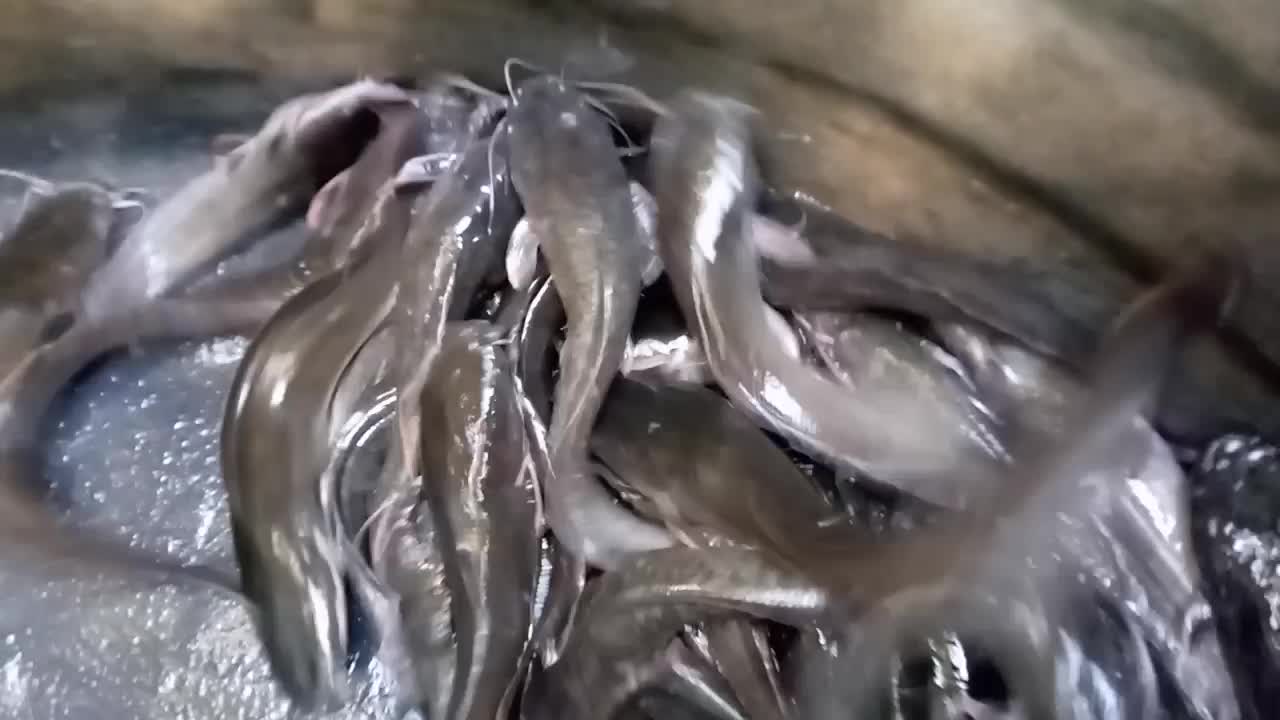 A cool business with no much capital