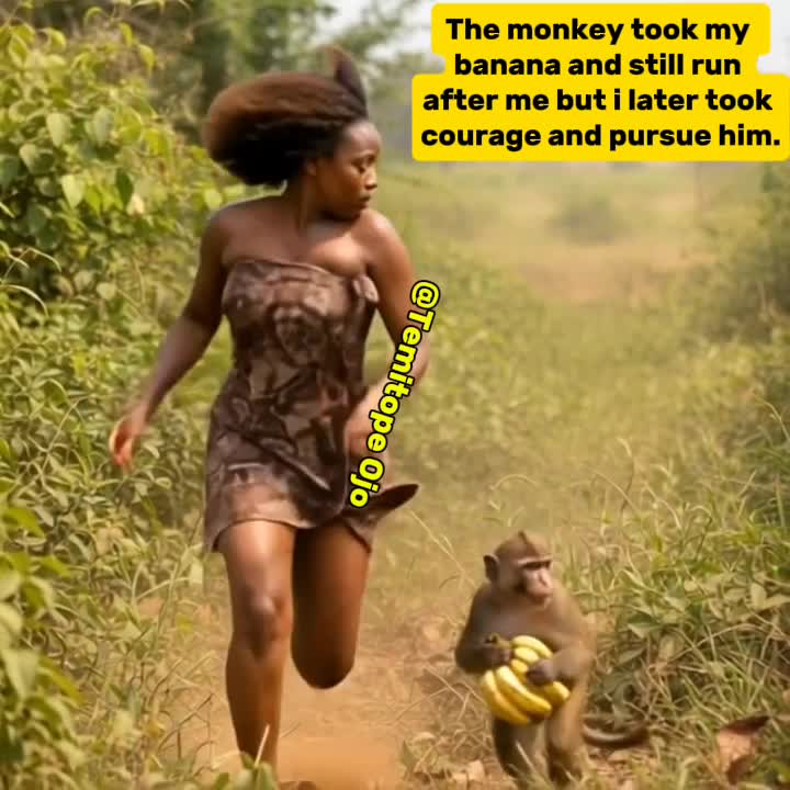 Imagine this monkey did this to me