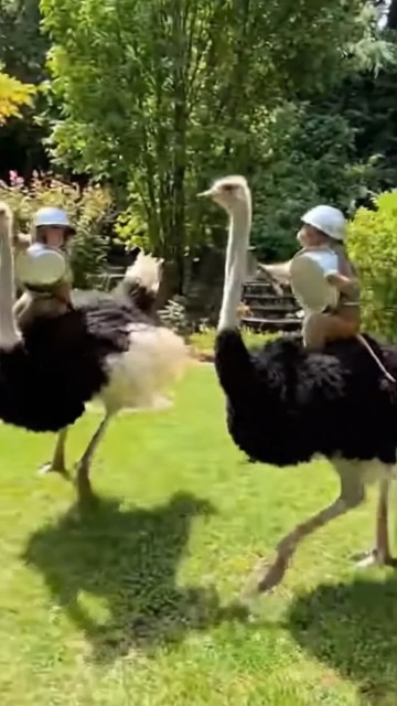 Two fighters 😂😂😂