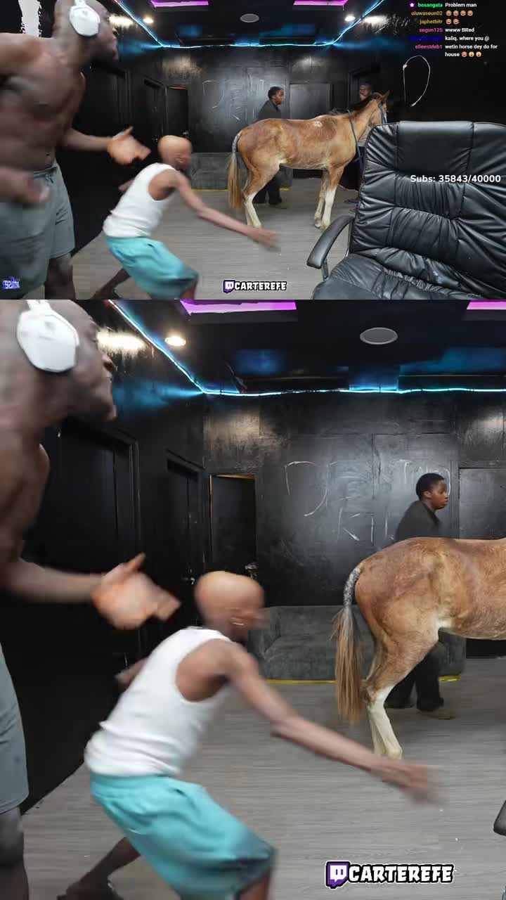 #carterefe on #Twitch | kolu carrry horse come carterefe stream ke 😂