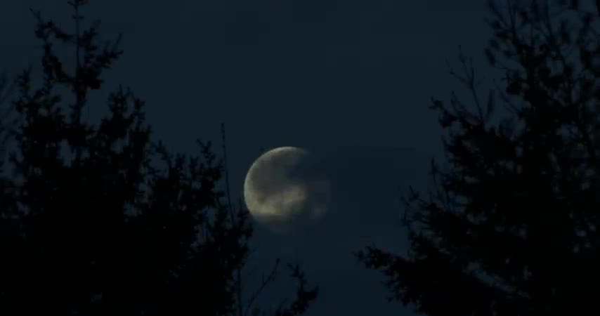 Students Started Disappearing at This School (FULL MOVIE) After Them