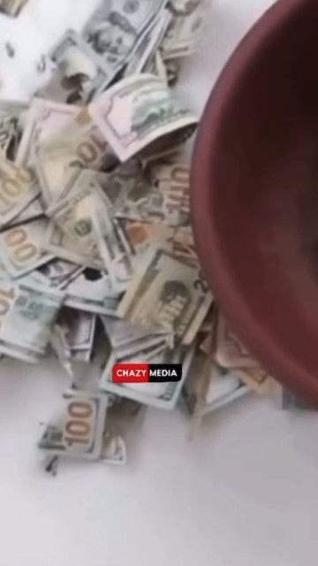 Rat eat all the money