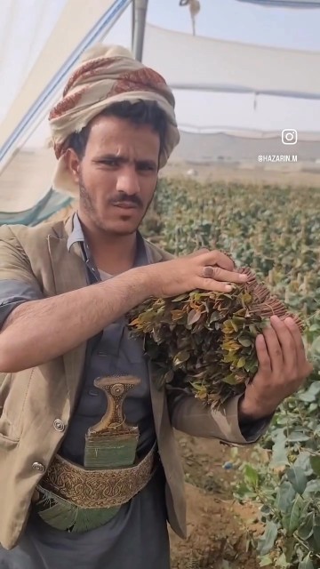 Guess his country😂