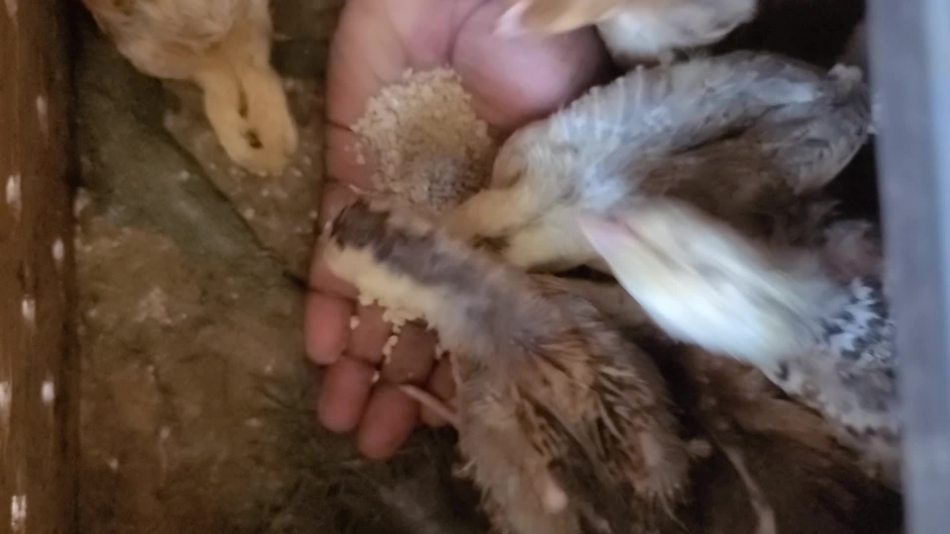 Jaribu hii kitu kuna kitu utafeel