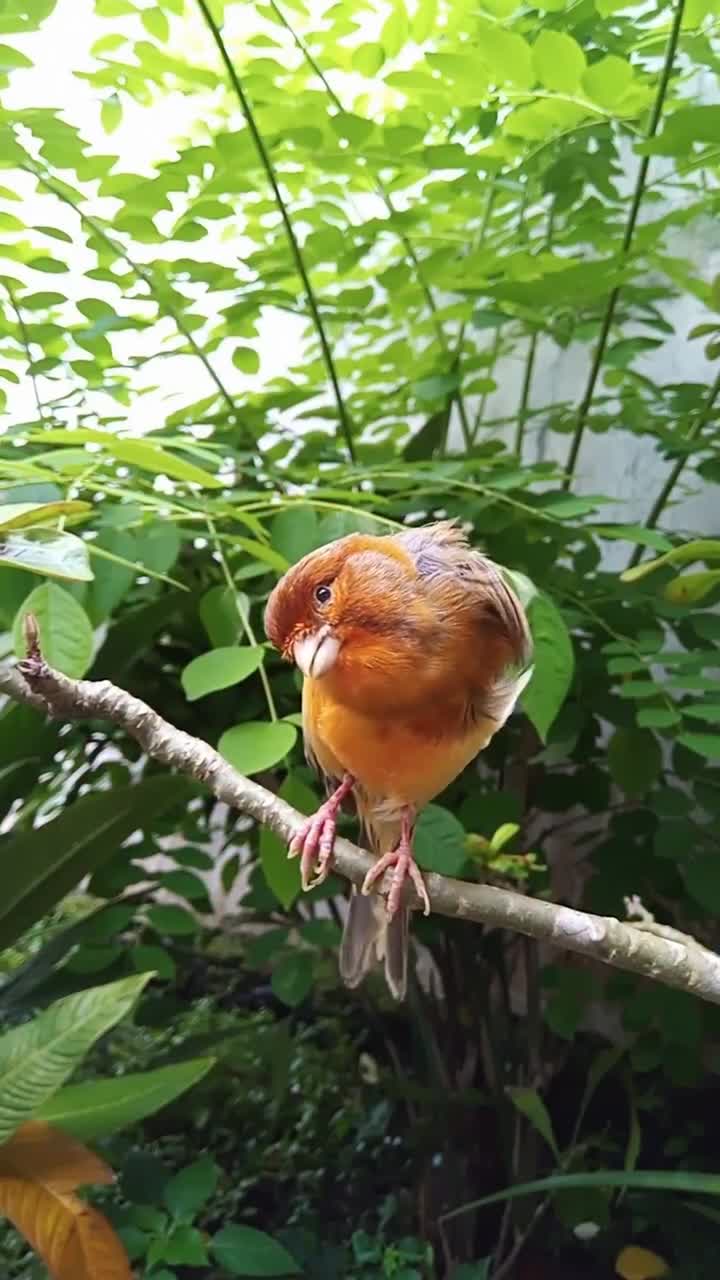 Nature is beautiful ❤️