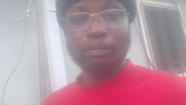 The power of the cat