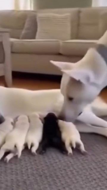 She cheated🤪🤪🤪