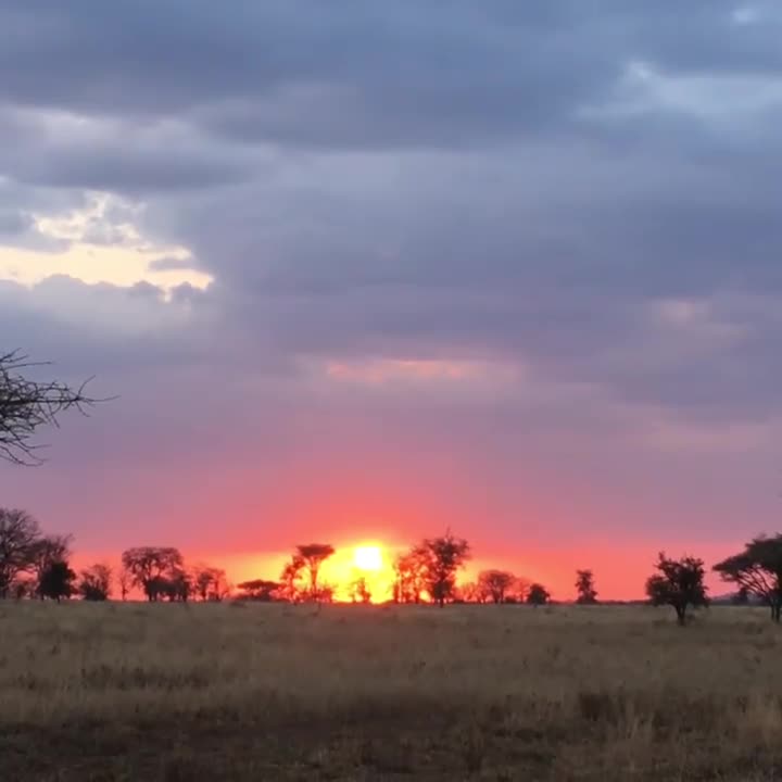 Sunset of the Serengeti National Park