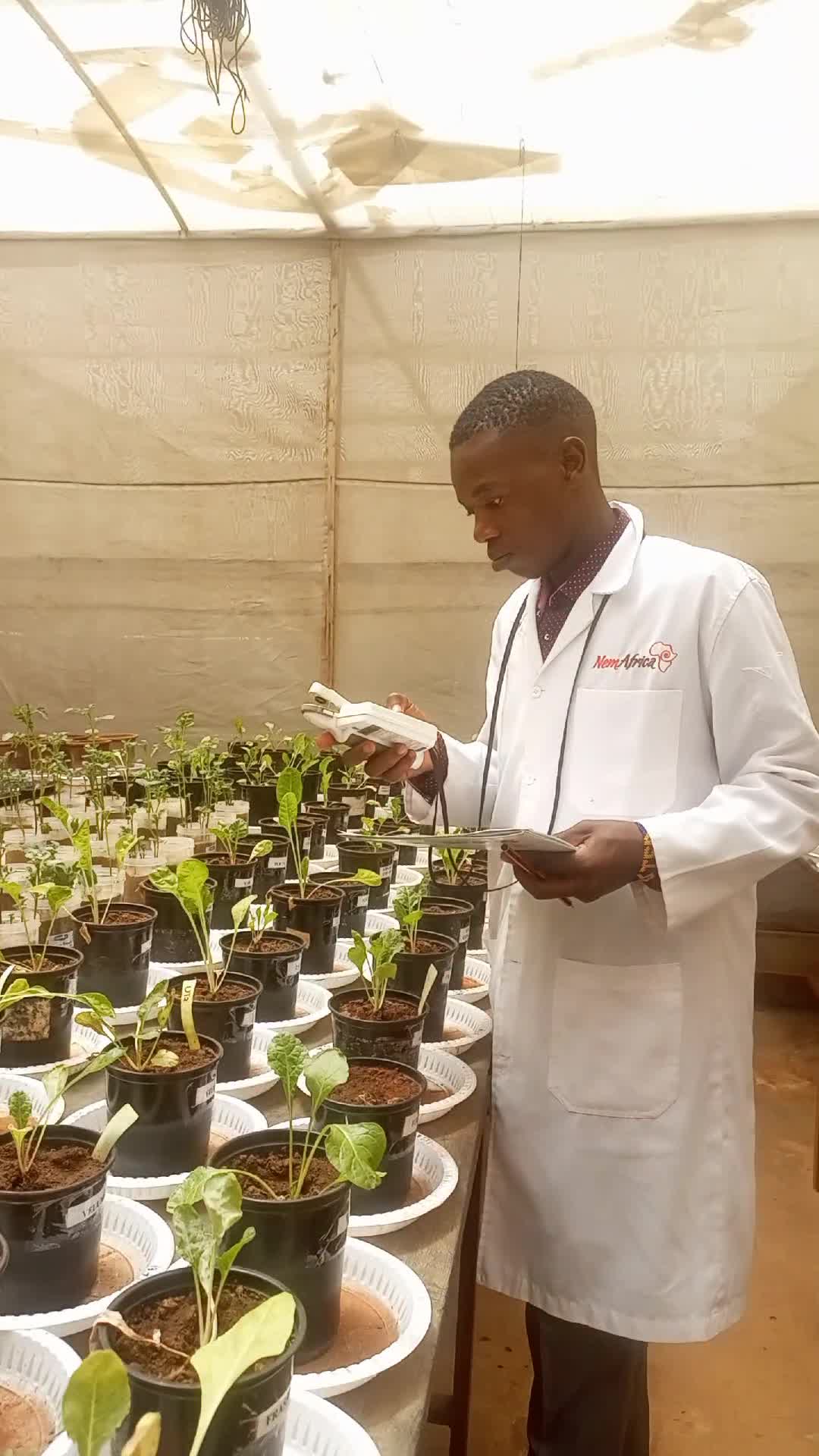 Measuring chrophyl content