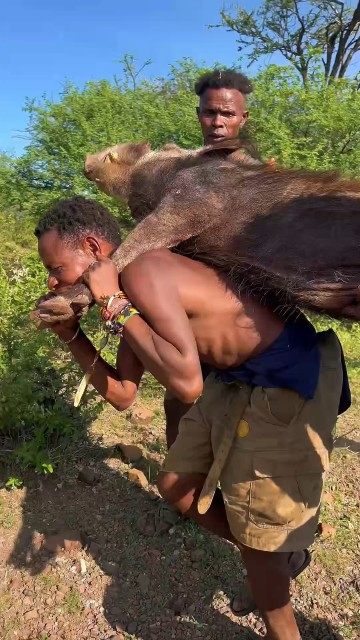 Too Big to Carry | Hadzabe Hunters Struggle With a Massive Catch After Successful Hunt