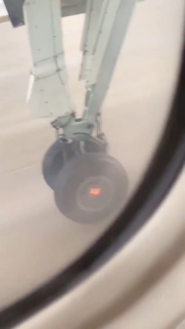 Please Help us😂😂😂