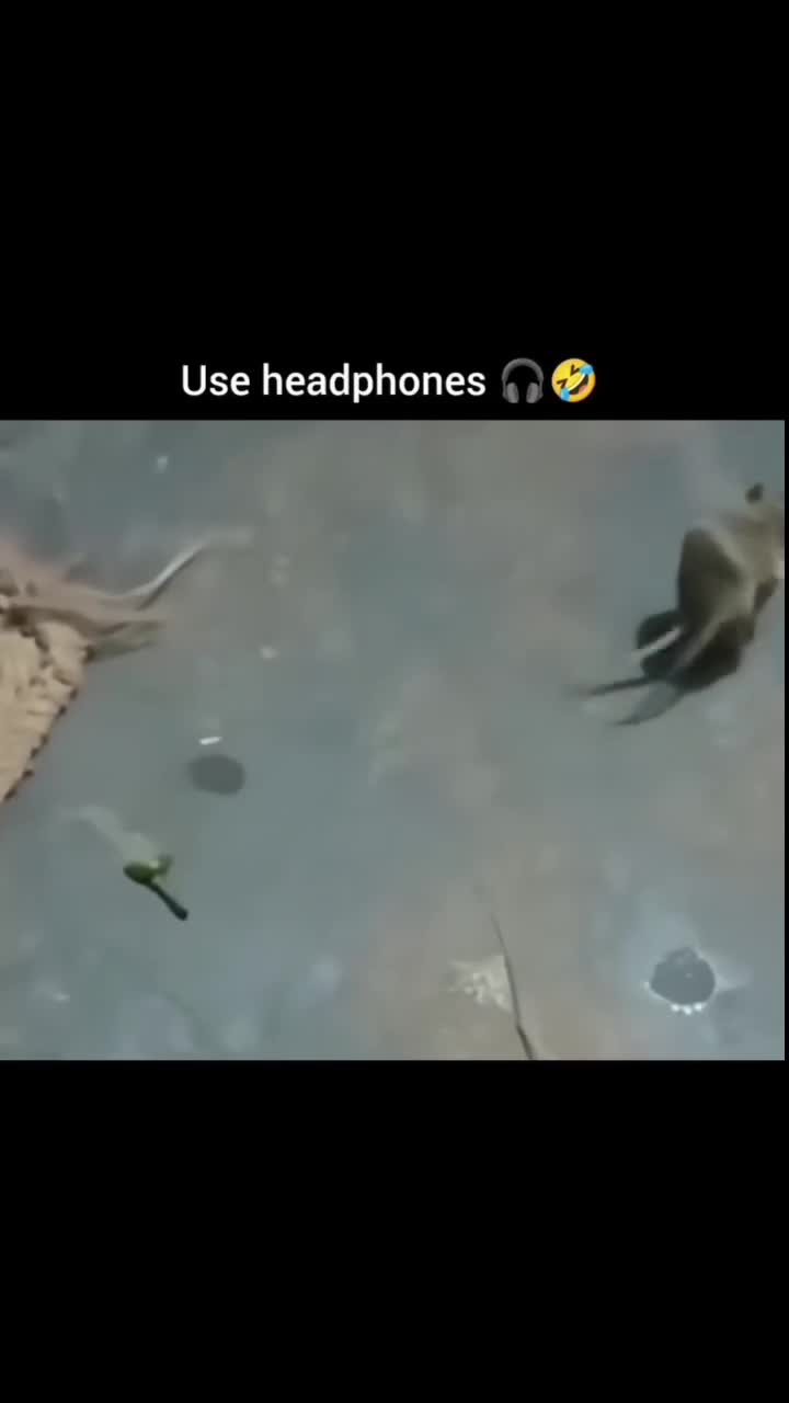 Car having fun 🤣😅