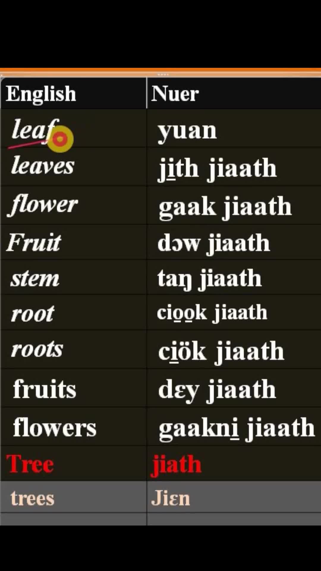 easy nuer english daily practice