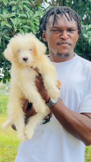 Unakosaje Manunu🐶