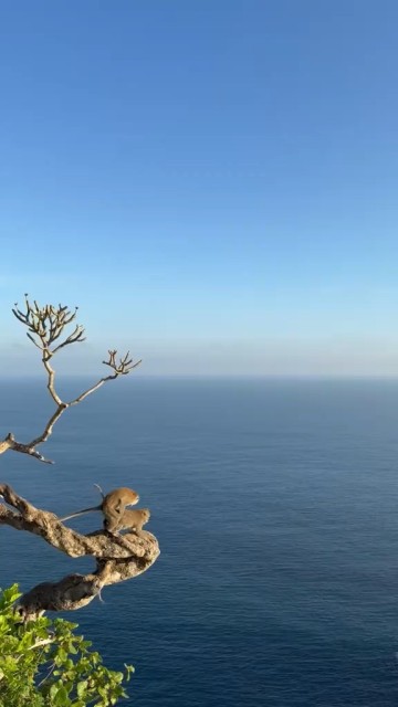 I have seen this somewhere 😂😂