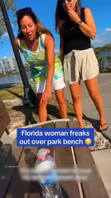 Florida woman freaks out over the bench