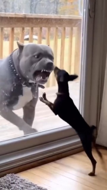 I can’t laugh alone