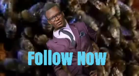 The history of 🐝 bee