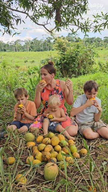 No kitchen today 🤣🤣🤣