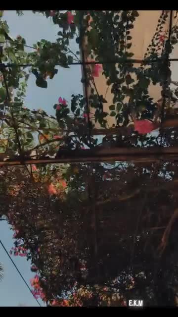 Safari ya picha 🫡