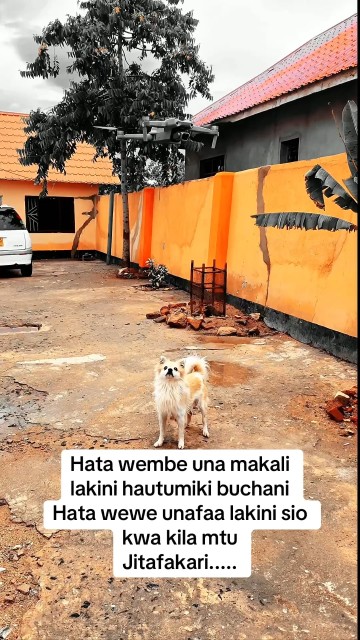 Hata wembe una makali lakini hautumiki buchani  Hata wewe unafaa lakini sio kwa kila mtu  Jitafakari