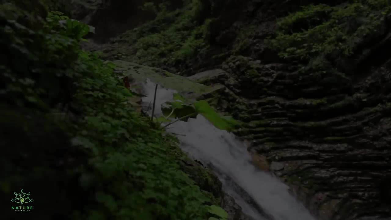 Beautiful Relaxing Music🌿 Stop Overthinking, Stress Relief Music, Sleep Music