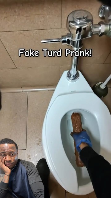 Fake turd