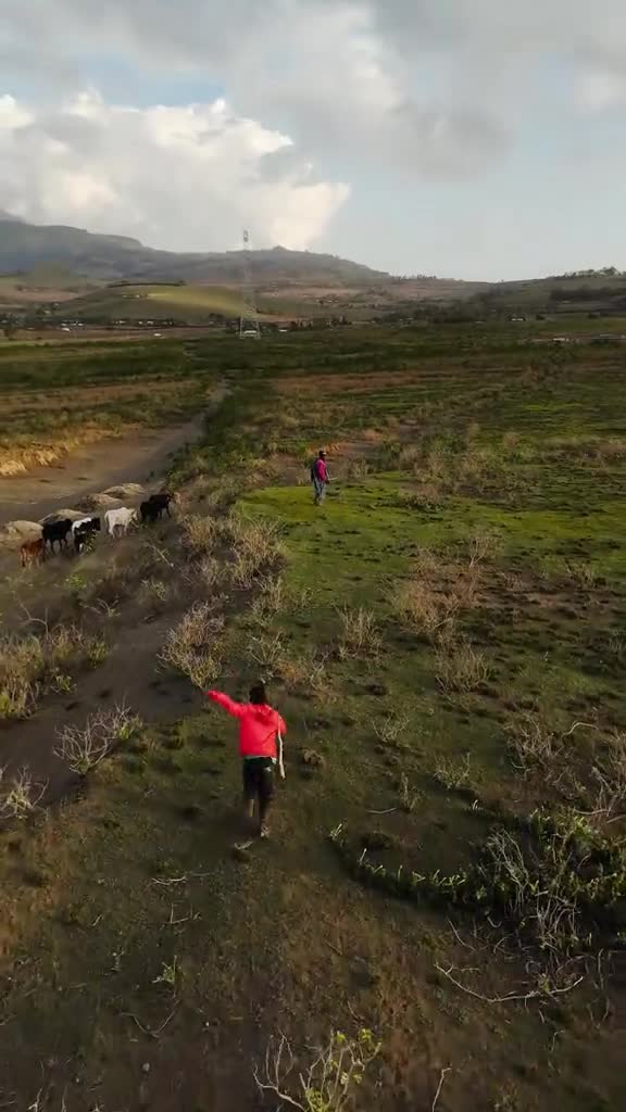 Flying High, Fear Below