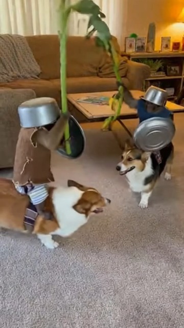 Wait till end 😂😂😂