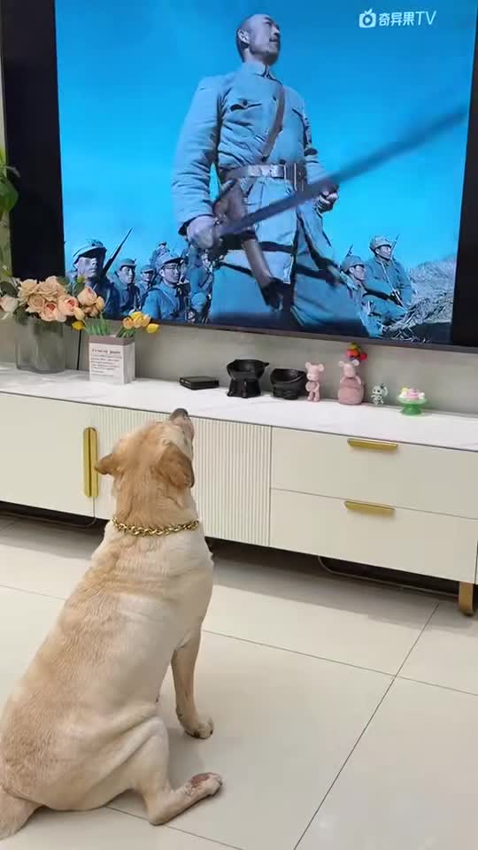 Shouts of War
