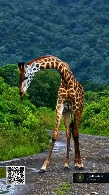 Arusha National Park