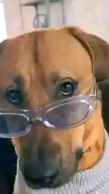 The girl that refus to help her uncle