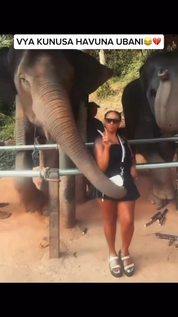 Tembo chalii🤣🤣🤣🤣