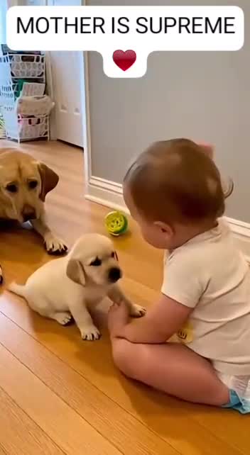 Baby and Dog