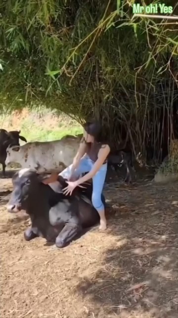 Funny videos!