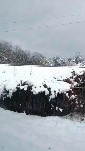 For More Content Subscribe And Follow