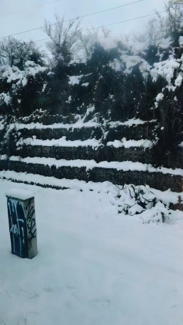 Subscribe For More Content