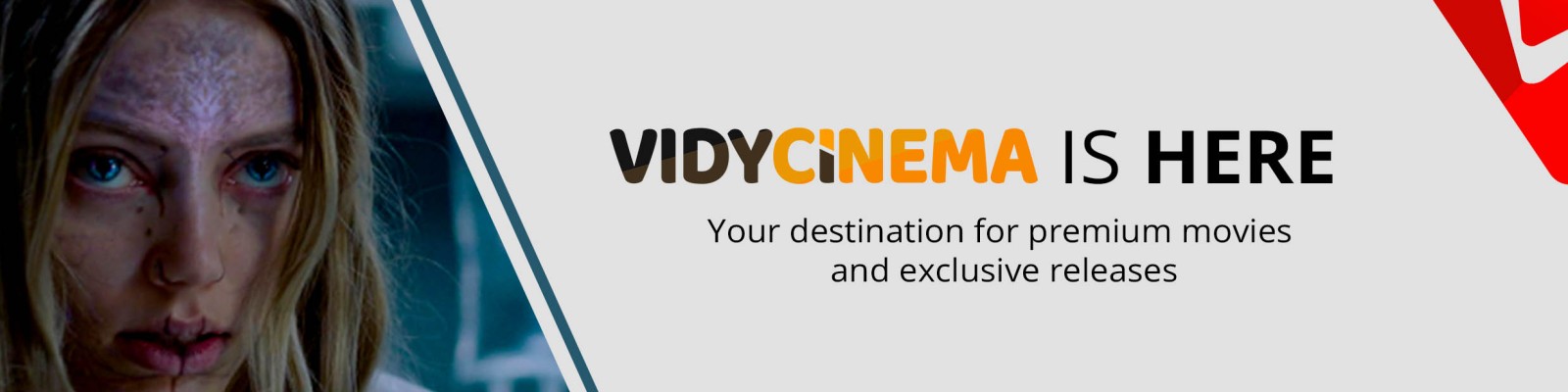 VidyCinema is here