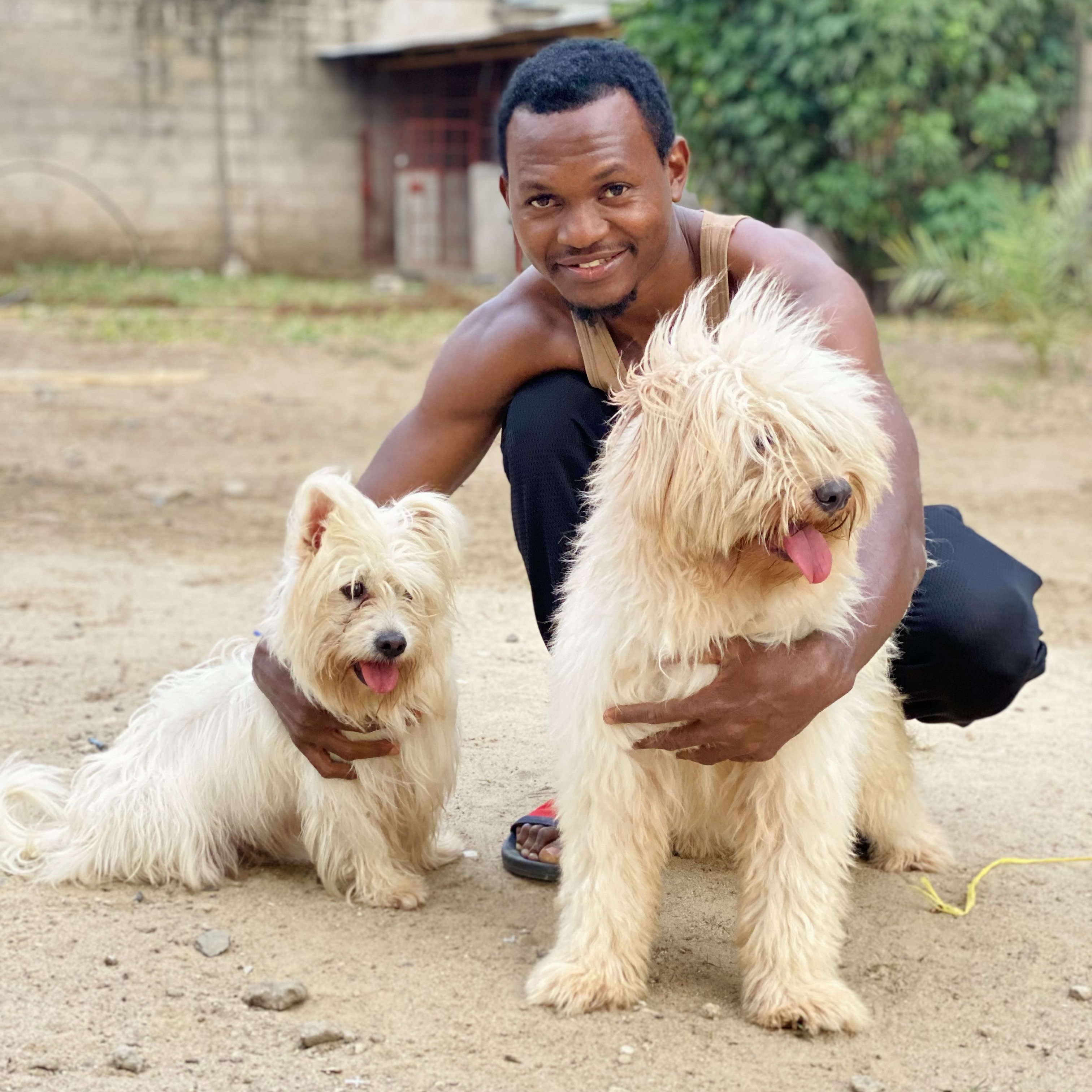 Nobodydogtrainer_ avatar