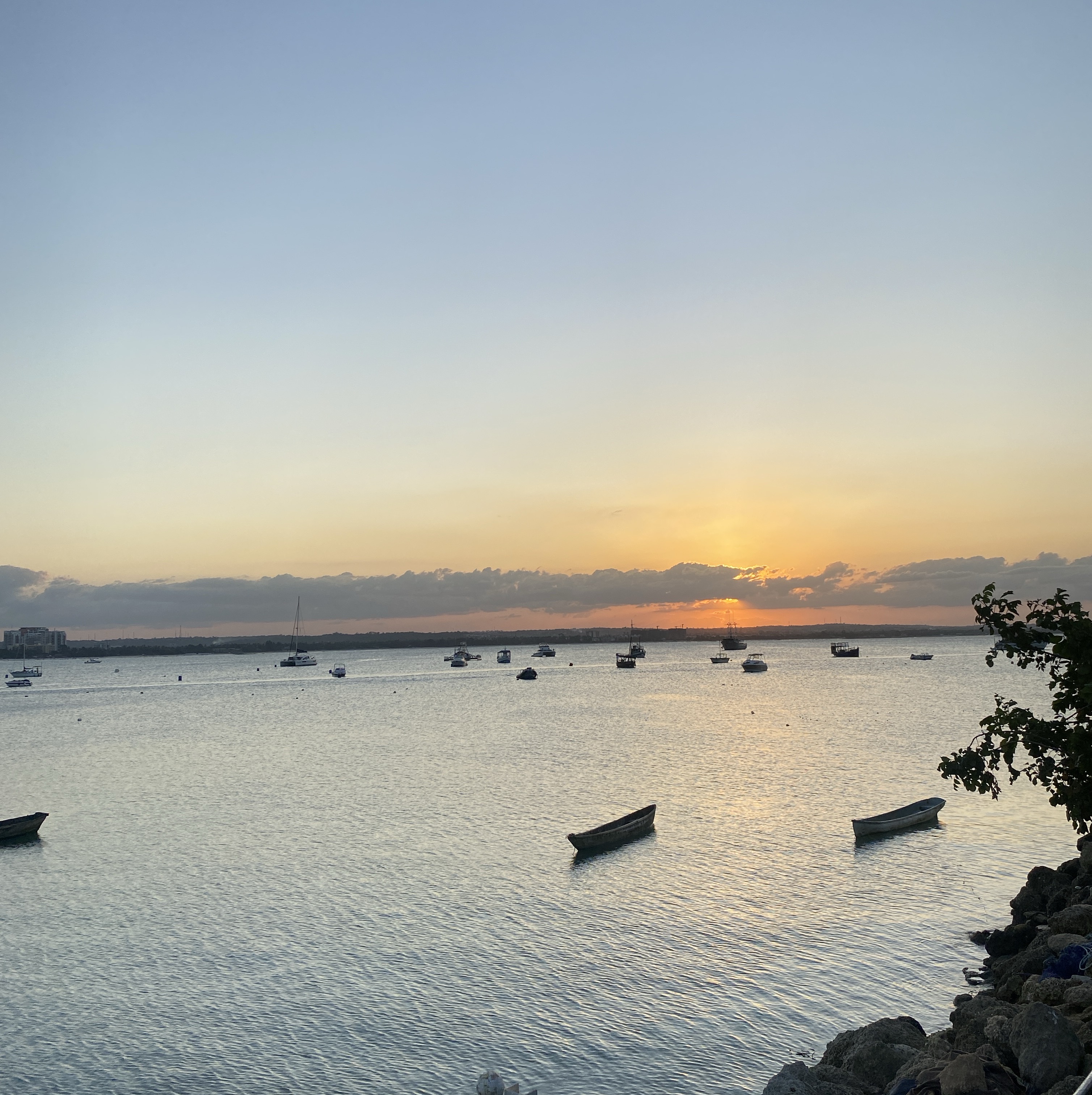 Artified_gran avatar